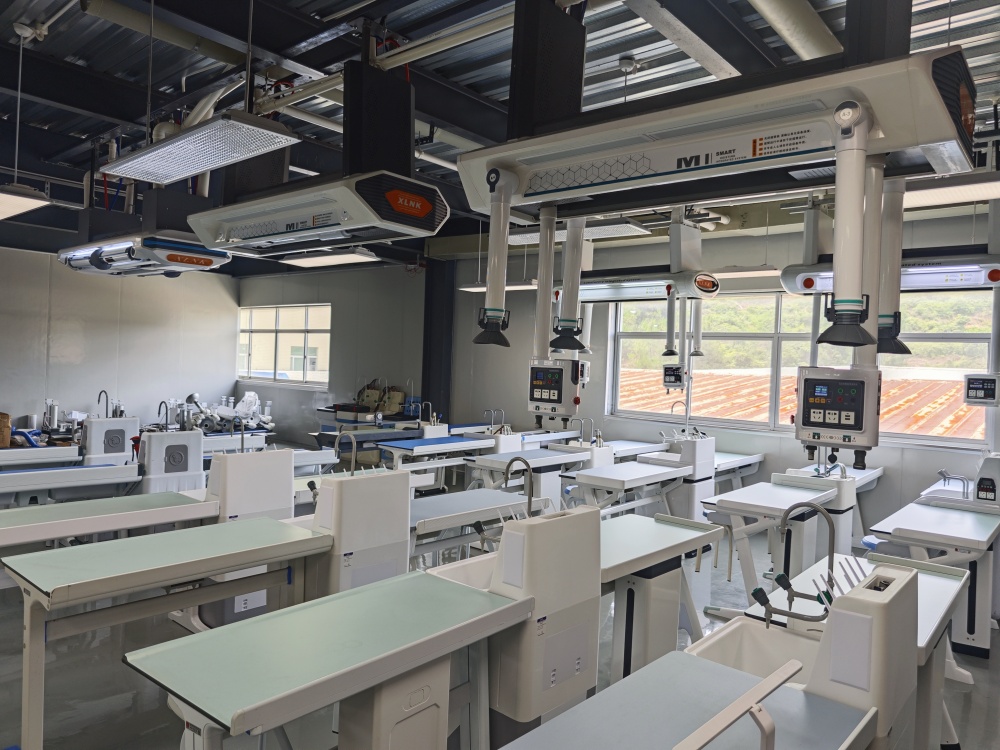 專業(yè)定制，品質(zhì)保證：量身打造最適合您的理化生智能吊裝實驗室